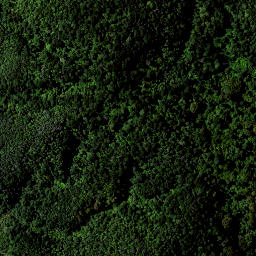 Satellite imagery of RAEPAHU RIDGE, NZ