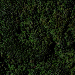 Satellite imagery of RAEPAHU RIDGE, NZ