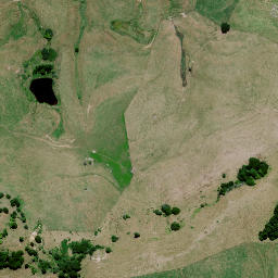 Satellite imagery of HAUPEEHI, NZ