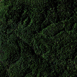 Satellite imagery of RAEPAHU RIDGE, NZ