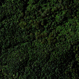 Satellite imagery of RAEPAHU RIDGE, NZ
