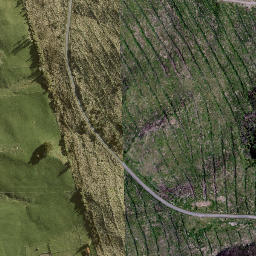 Satellite imagery of 1778 PUKEROA, NZ