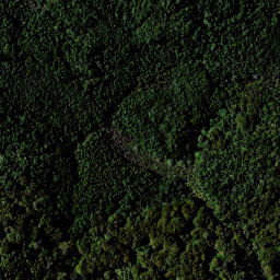 Satellite imagery of RAEPAHU RIDGE, NZ