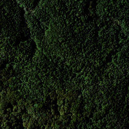 Satellite imagery of RAEPAHU RIDGE, NZ