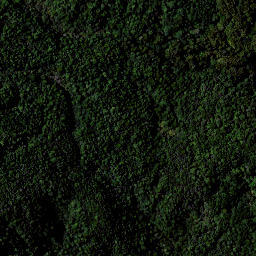 Satellite imagery of RAEPAHU RIDGE, NZ