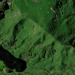 Satellite imagery of BENNEYDALE, NZ