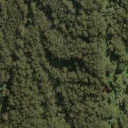 Satellite imagery of Beech Hill, AU
