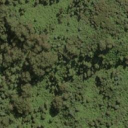 Satellite imagery of Beech Hill, AU