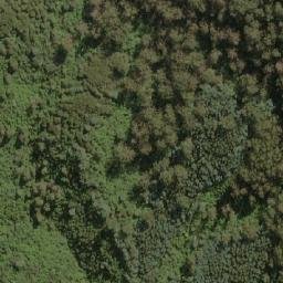 Satellite imagery of Beech Hill, AU
