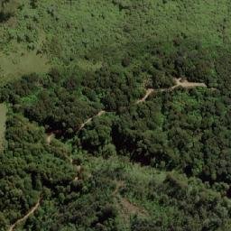 Satellite imagery of Beech Hill, AU