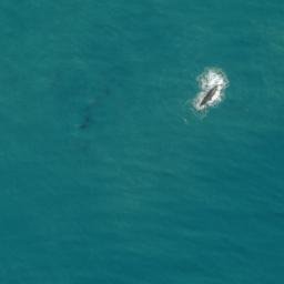 Satellite imagery of Gable End Foreland, NZ