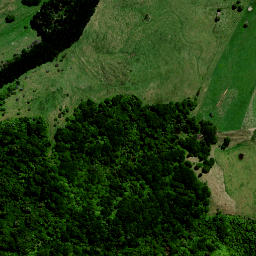 Satellite imagery of 1565 OKIWIRIKI, NZ