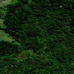 Satellite imagery of 1565 OKIWIRIKI, NZ