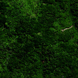 Satellite imagery of 1565 OKIWIRIKI, NZ