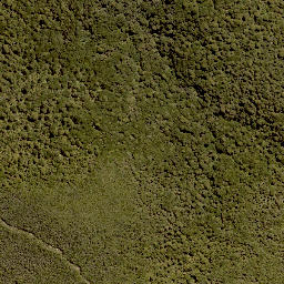 Satellite imagery of 1390 PUREORA, NZ