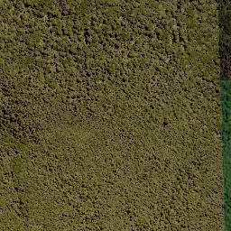 Satellite imagery of 1390 PUREORA, NZ