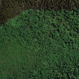 Satellite imagery of 1390 PUREORA, NZ