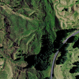 Satellite imagery of 9131, NZ