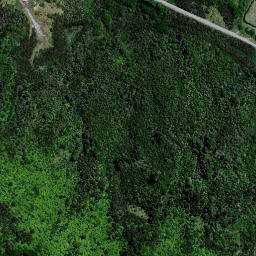 Satellite imagery of 1560 TAUMATINI, NZ