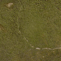 Satellite imagery of 1390 PUREORA, NZ
