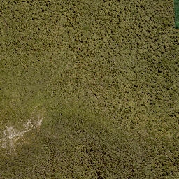 Satellite imagery of 1390 PUREORA, NZ