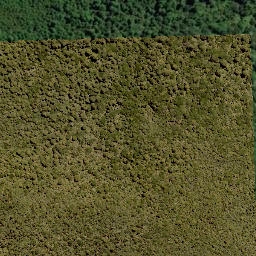 Satellite imagery of 1390 PUREORA, NZ