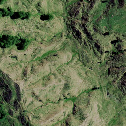 Satellite imagery of 9131, NZ