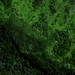 Satellite imagery of 1560 TAUMATINI, NZ