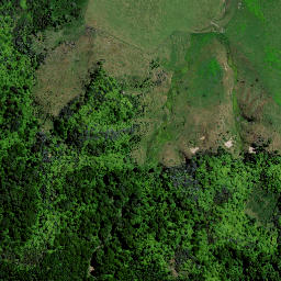 Satellite imagery of 1560 TAUMATINI, NZ