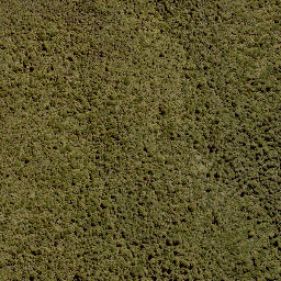Satellite imagery of 1390 PUREORA, NZ