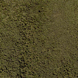 Satellite imagery of 1390 PUREORA, NZ