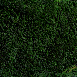 Satellite imagery of 1560 TAUMATINI, NZ