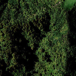 Satellite imagery of 1556 MAUNGARAHIRI, NZ