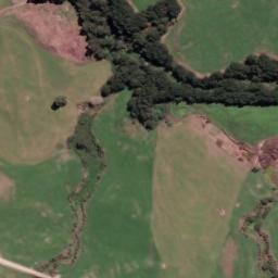 Satellite imagery of 2010, NZ