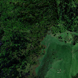 Satellite imagery of H NO 2, NZ