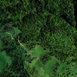 Satellite imagery of H NO 2, NZ