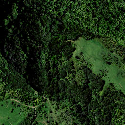 Satellite imagery of H NO 2, NZ