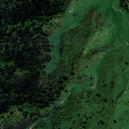 Satellite imagery of H NO 2, NZ