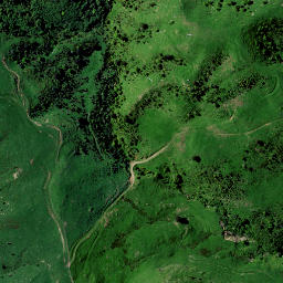 Satellite imagery of H NO 2, NZ