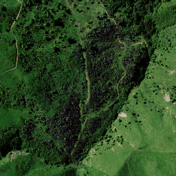 Satellite imagery of H NO 2, NZ