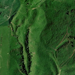 Satellite imagery of H NO 2, NZ