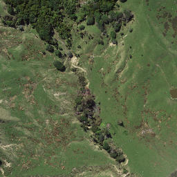 Satellite imagery of Tapuwaeorongokako Point, NZ