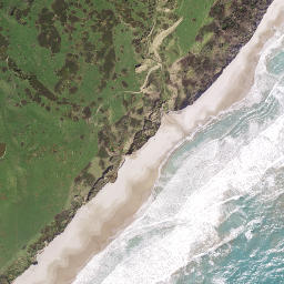 Satellite imagery of Tapuwaeorongokako Point, NZ