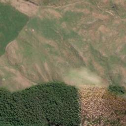 Satellite imagery of 1842, NZ