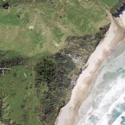 Satellite imagery of Tapuwaeorongokako Point, NZ
