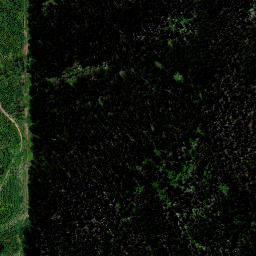 Satellite imagery of 9153, NZ