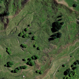 Satellite imagery of PUKEHOIHO, NZ