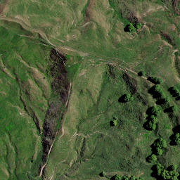 Satellite imagery of PUKEHOIHO, NZ