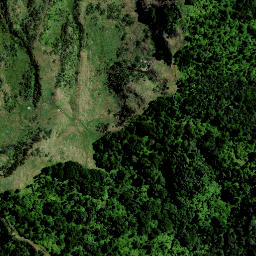 Satellite imagery of PUKEKIEKIE, NZ