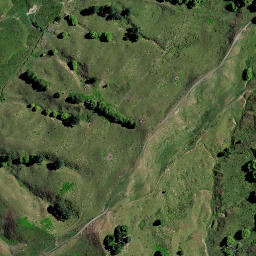 Satellite imagery of PUKEHOIHO, NZ